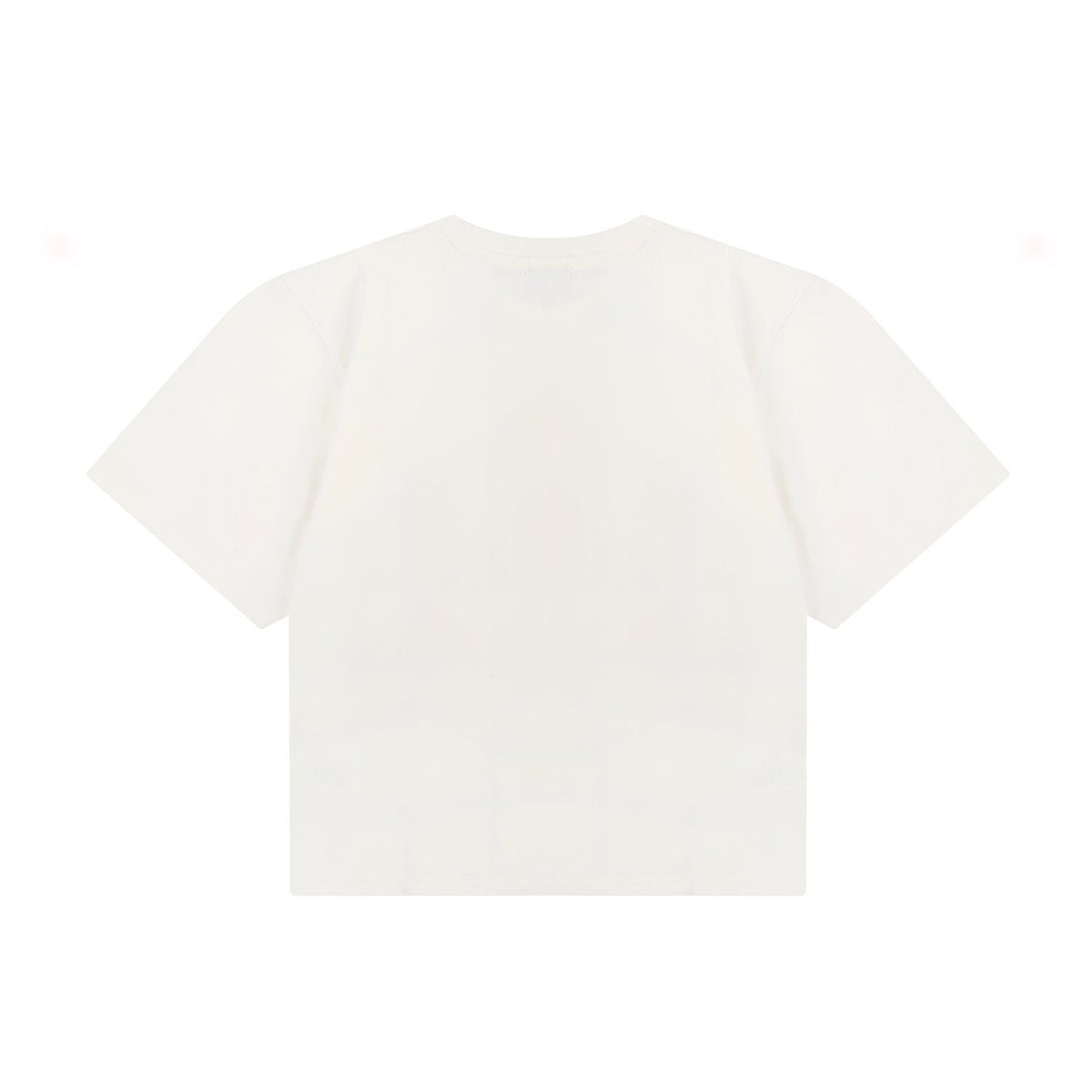 Test2-Ralph Lauren Women's Oversized Drop-Shoulder Pony Embroidered T-Shirt — back